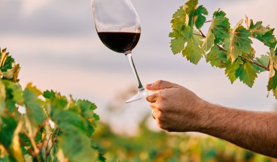 vino e cantine della Toscana